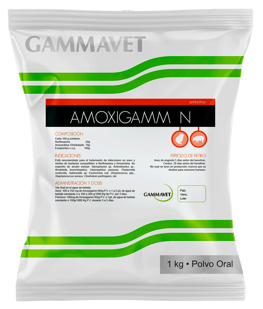 AMOXIGAMM N®
