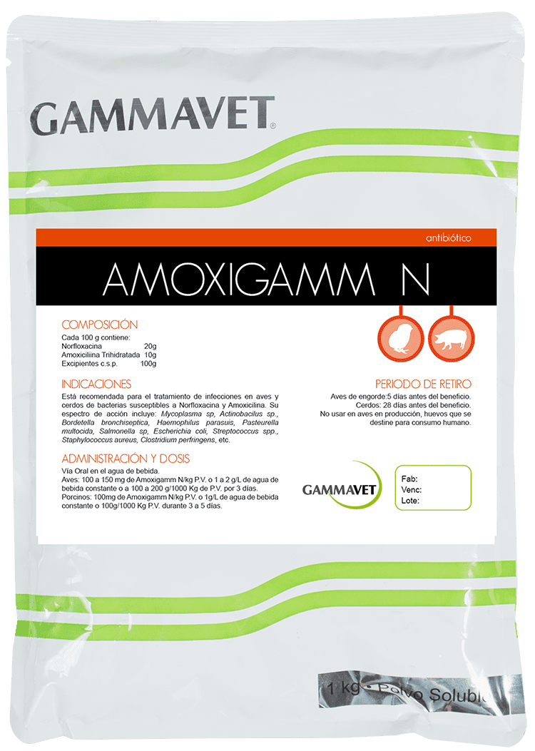 AMOXIGAMM N®