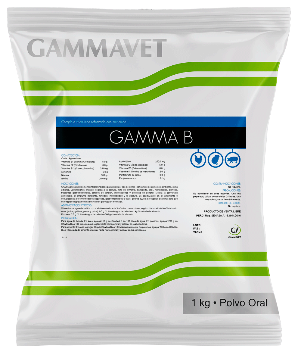 GAMMA B