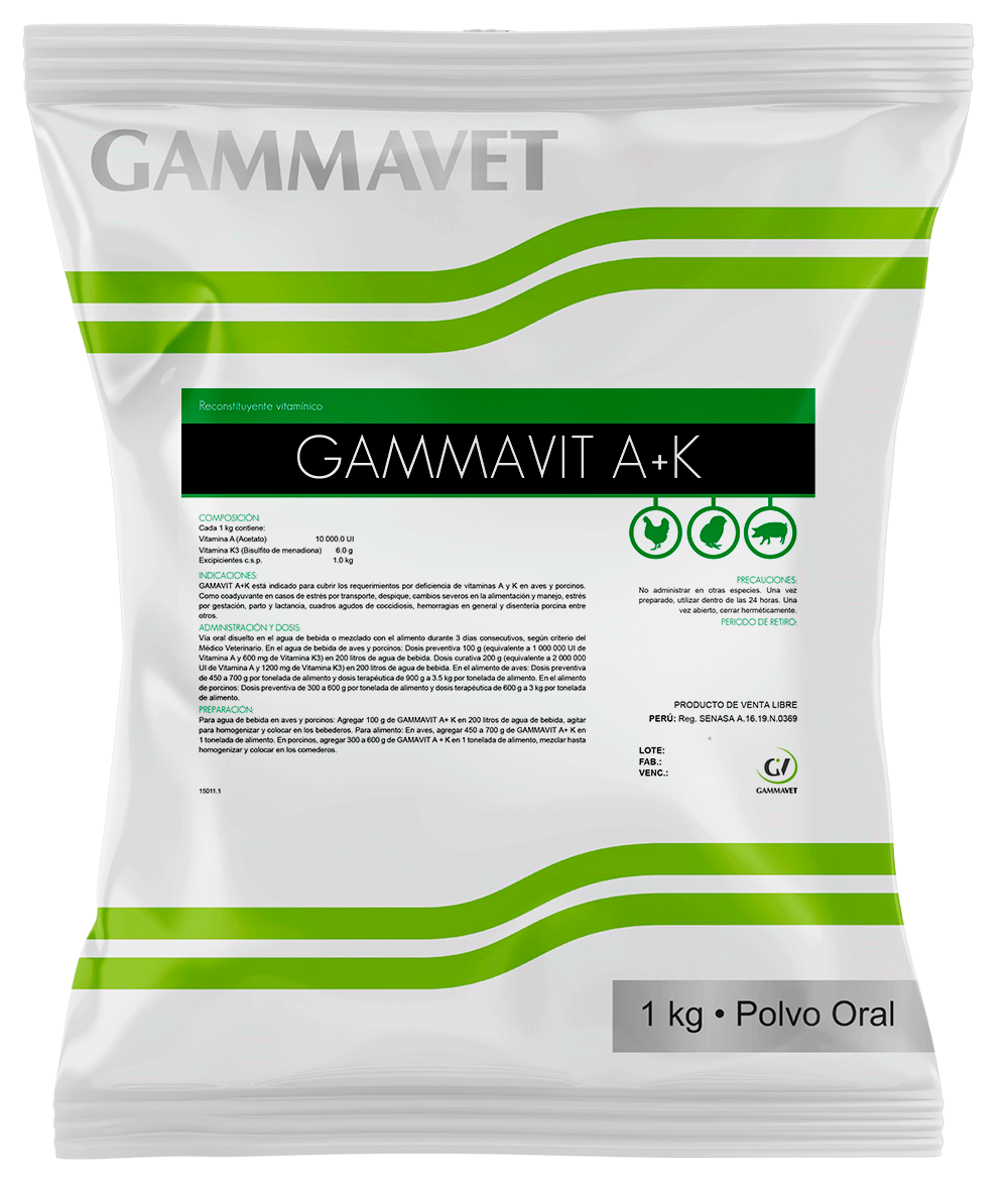 GAMMAVIT A + K®