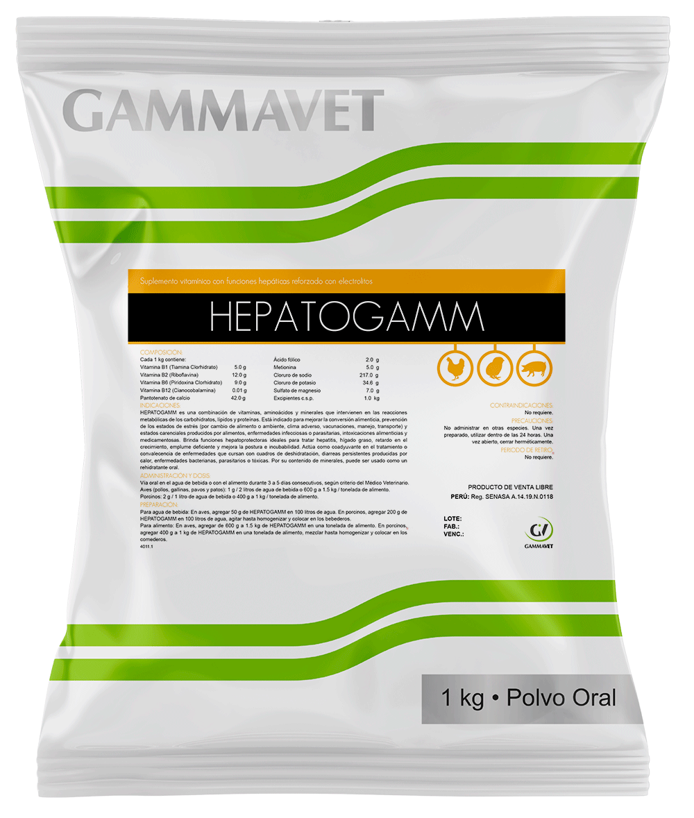 HEPATOGAMM®
