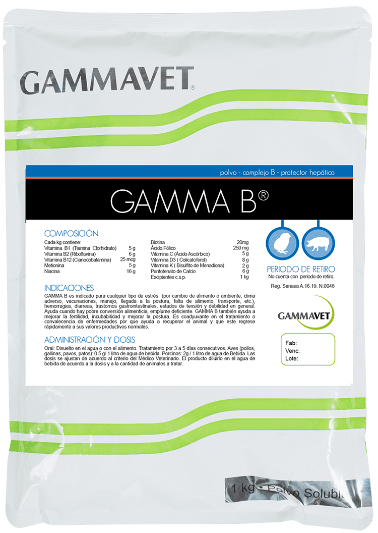 GAMMA B